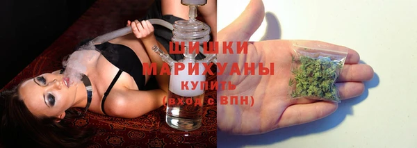 амф Белоозёрский