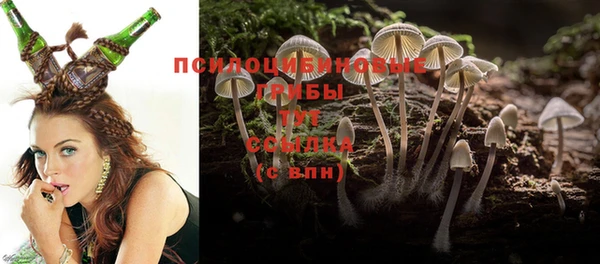 таблы Беломорск