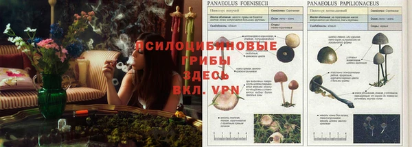 герыч Покров
