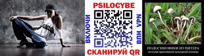 Псилоцибиновые грибы мухоморы  где можно купить наркотик  Семикаракорск 